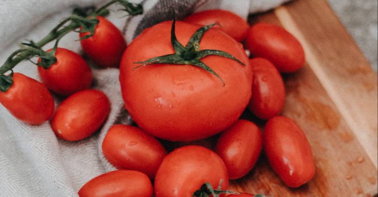 Tomates de Marmande