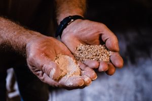 Rencontre avec un meunier bénévole, Pierre Cabarrou, qui fait découvrir sa passion pour la farine aux visiteurs durant l'été