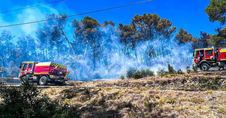 Illustration de l'article [Dossier – Forêt : renaître de ses cendres] Incendies en Gironde : enjeux et conséquences