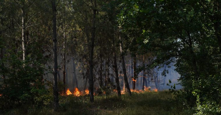 incendies Gironde Foret