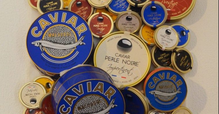 Illustration de l'article Dordogne – Caviar Perle Noire, la force des circuits courts