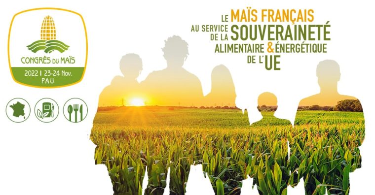 Illustration de l'article Béarn – Le congrès du maïs en novembre à Pau
