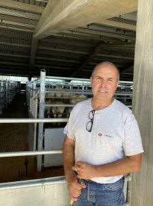 le marché aux bestiaux du Parc du Val d'Adour