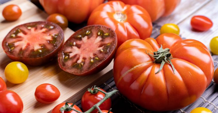 Illustration de l'article Tomate de Marmande : année 2022 réussie