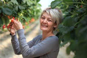 Sylvie Delaurier, présidente de l’Association Interprofessionnelle des Fruits et Légumes du Lot-et-Garonne (AIFLG) fraise
