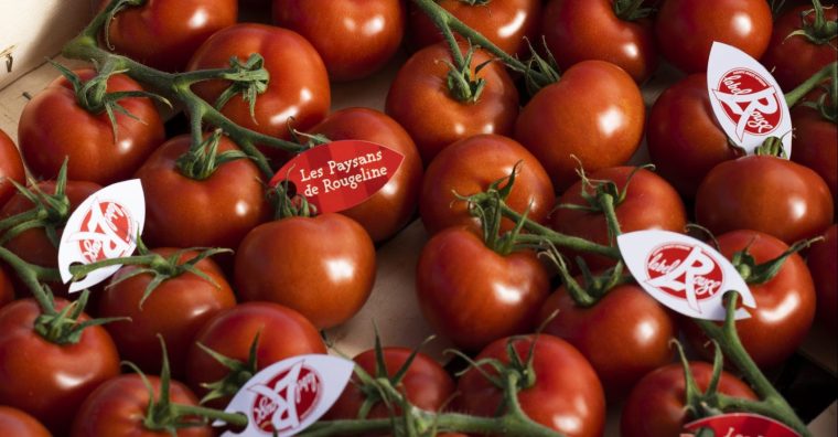 Illustration de l'article Marmande – La tomate officiellement Label Rouge
