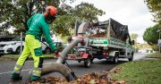 Le Groupe Pinson acquiert Atout Vert