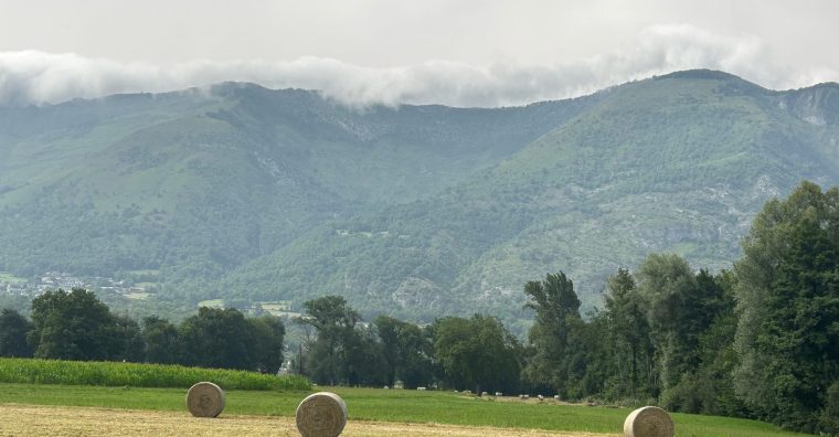 Illustration de l'article Hautes-Pyrénées – Zoom sur le prix des terres agricoles