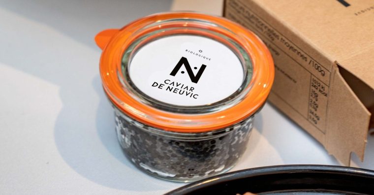 Illustration de l'article Neuvic et Prunier, les leaders du caviar