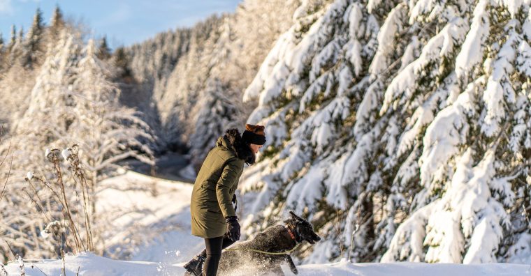 chien neige montagne © Shutterstock