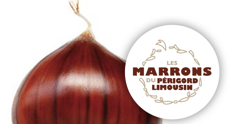 Illustration de l'article Dordogne – Le retour des marrons et châtaignes