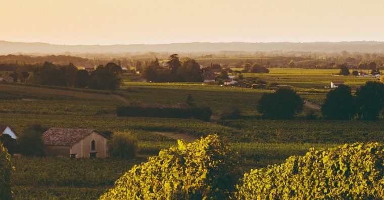 Illustration de l'article Bergerac – Des viticulteurs dans le sens de la nature