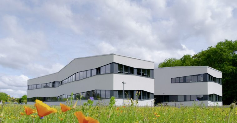 Illustration de l'article Octime veut accélérer en 2024