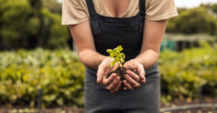 Illustration de l'article Le Buisson-de-Cadouin – Un nouveau tiers-lieu riche en projets