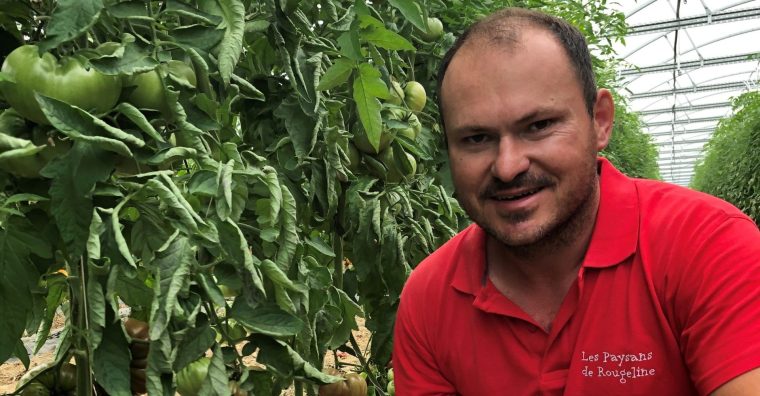 Illustration de l'article Marmande – L’an 1 de la tomate Label Rouge