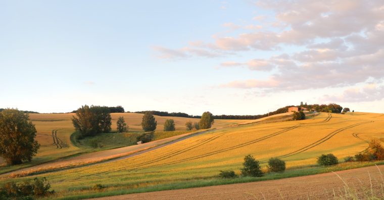 Illustration de l'article Banque Populaire Occitane : lancement du Prix régional de la dynamique agricole