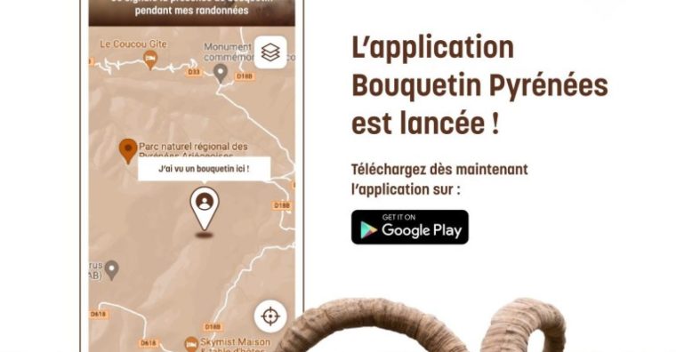 Illustration de l'article Le Parc national des Pyrénées se dote d’une application pour géolocaliser les bouquetins