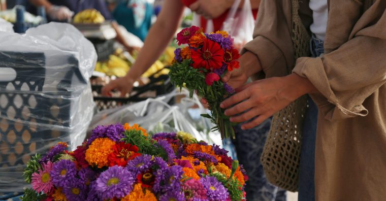 Illustration de l'article Seconde édition du marché aux fleurs, plantes et arbustes