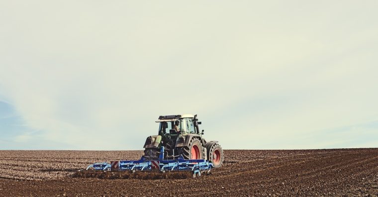 Illustration de l'article Nérac, 10e édition d’Agrinovembre