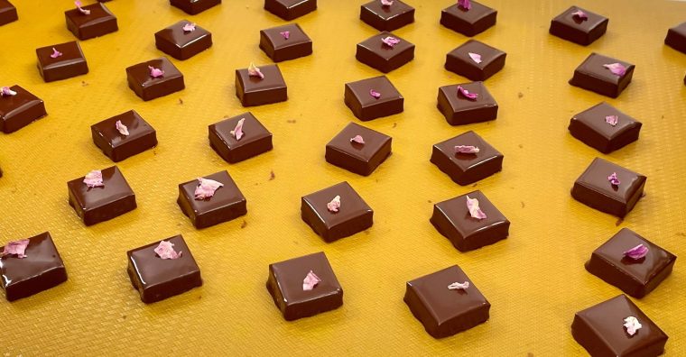 Illustration de l'article Le chocolatier Criollo veut ouvrir de nouveaux points de vente