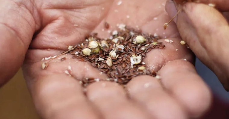 Biodiversité