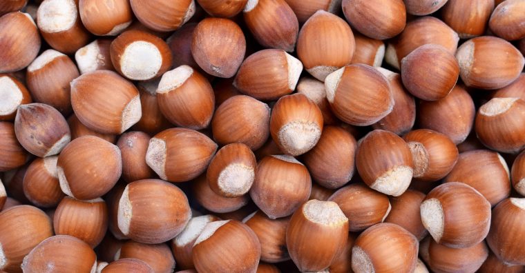 Illustration de l'article Cancon – Saison noire pour la noisette