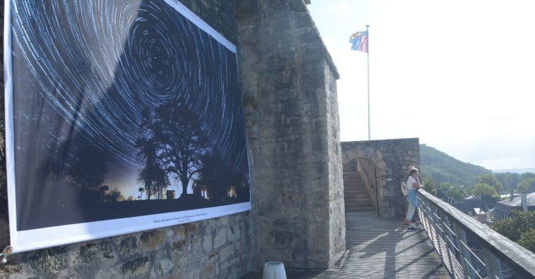 Illustration de l'article Comme un arbre dans la ville