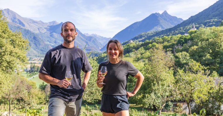 Illustration de l'article Ploia :  vins naturels des montagnes