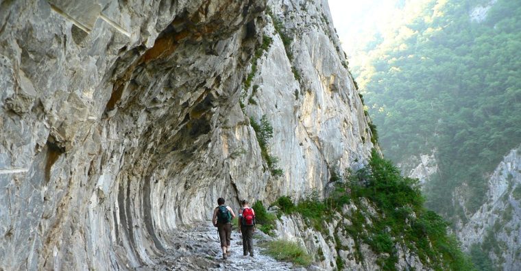 Illustration de l'article Saison estivale 2025 : stabilité de la fréquentation dans les Pyrénées-Atlantiques mais des ajustements