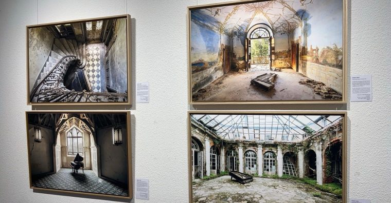 Illustration de l'article Un photographe périgourdin mondialement primé
