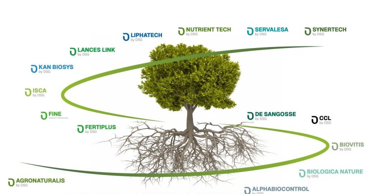 Illustration de l'article De Sangosse dévoile sa feuille de route