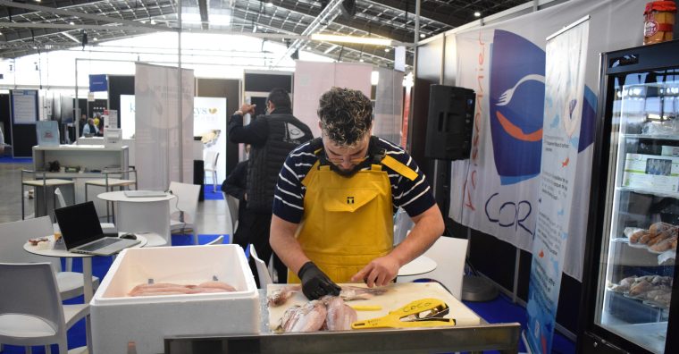 Illustration de l'article Toulouse : Plus de 2 000 participants à la première édition du salon de la poissonnerie