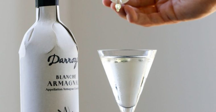 Illustration de l'article Biarritz – Premier concours Barman Mixology signé Darroze