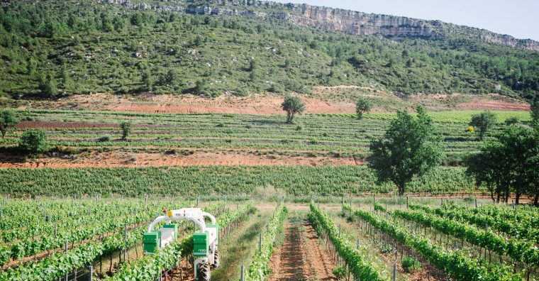 Illustration de l'article Naïo Technologies : nouveau départ pour l’entreprise de robots agricoles