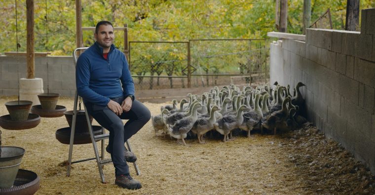 Illustration de l'article Périgord : l’oie en majesté