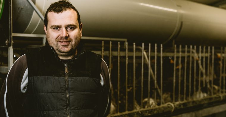 Illustration de l'article Profession ? Gaveur d’oie !