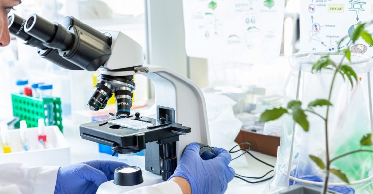 Illustration de l'article Agriculture : Micropep se dote d’une plateforme IA pour accélérer ses recherches