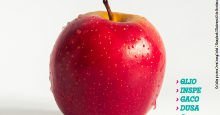 Illustration de l'article Agen – Une pomme par jour pour les étudiants !