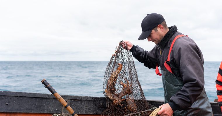 Illustration de l'article Un campus dédié aux métiers de la mer