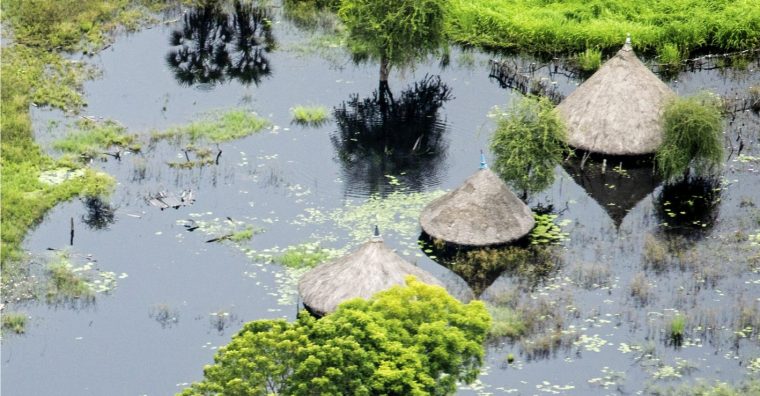 Illustration de l'article Fipadoc active le marché du documentaire