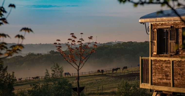 Illustration de l'article Gers : nouvel élan au Domaine d’Escapa