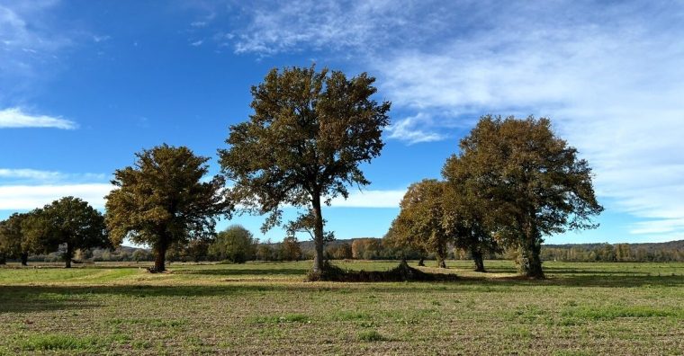Illustration de l'article Projet Bigorrus : feu vert pour évaluer sa faisabilité