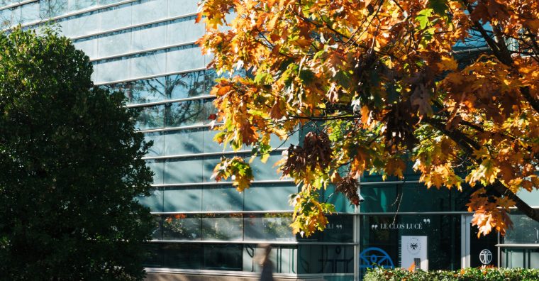 Illustration de l'article INSITU signe sa première implantation en Nouvelle-Aquitaine