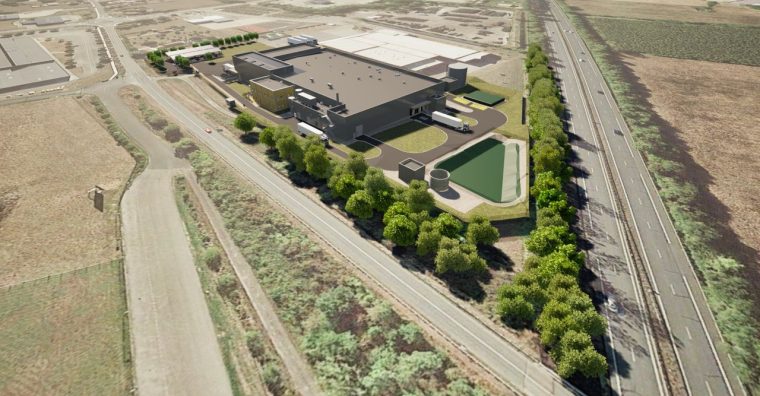 Illustration de l'article Damazan – L’œuf Gascon voit plus grand