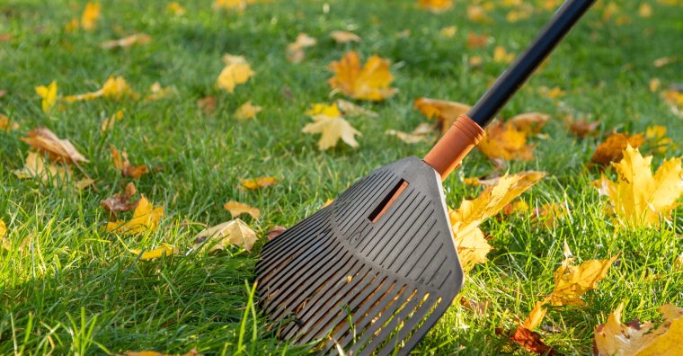 Illustration de l'article Sud-Ouest Paysage s’installe à Agen