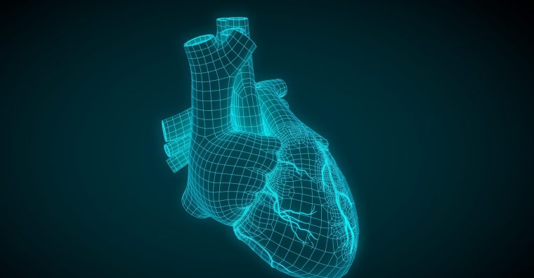 Illustration de l'article Avec inHEART, le CHU de Toulouse sécurise les interventions du cœur