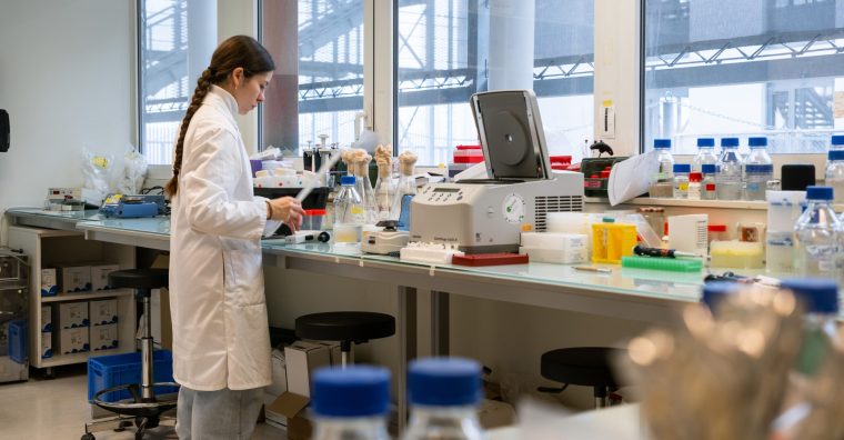 Illustration de l'article Sweetech : des ingrédients plus verts