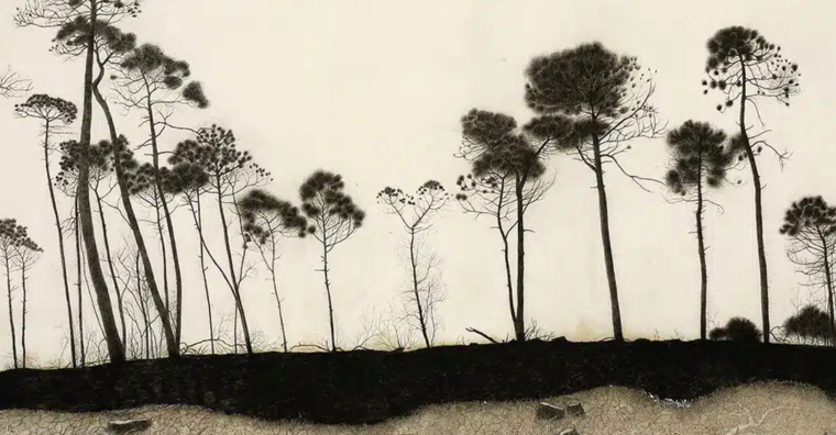 Illustration de l'article Anglet : Claire Forgeot, l’art à l’épreuve du feu