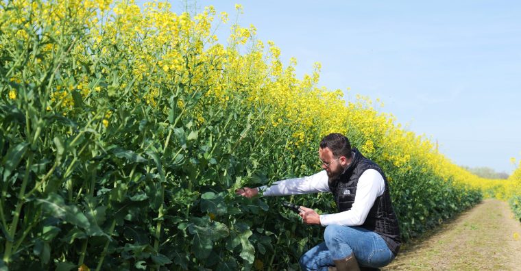 Illustration de l'article 290 collaborateurs formés à la Lidea Academy