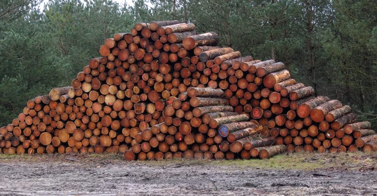 Illustration de l'article Le bois de Corrèze soutenu